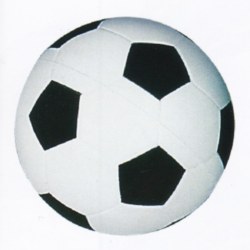 Piłka nożna duża
