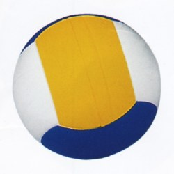 Piłka siatkowa duża