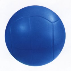 Piłka siatkowa duża